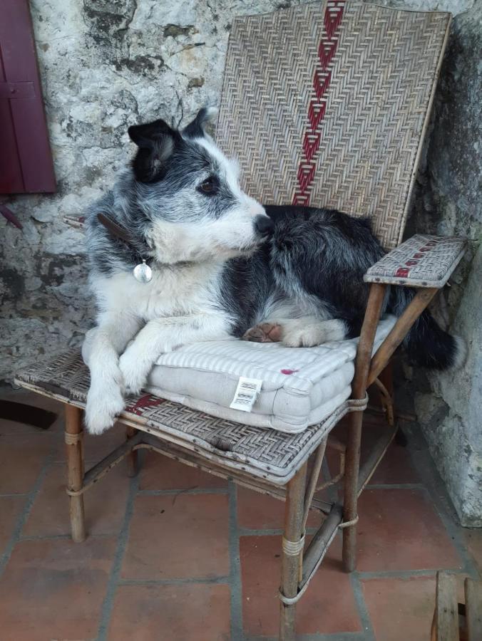 Le Peyrail Bed & Breakfast Les Leves-et-Thoumeyragues Bagian luar foto