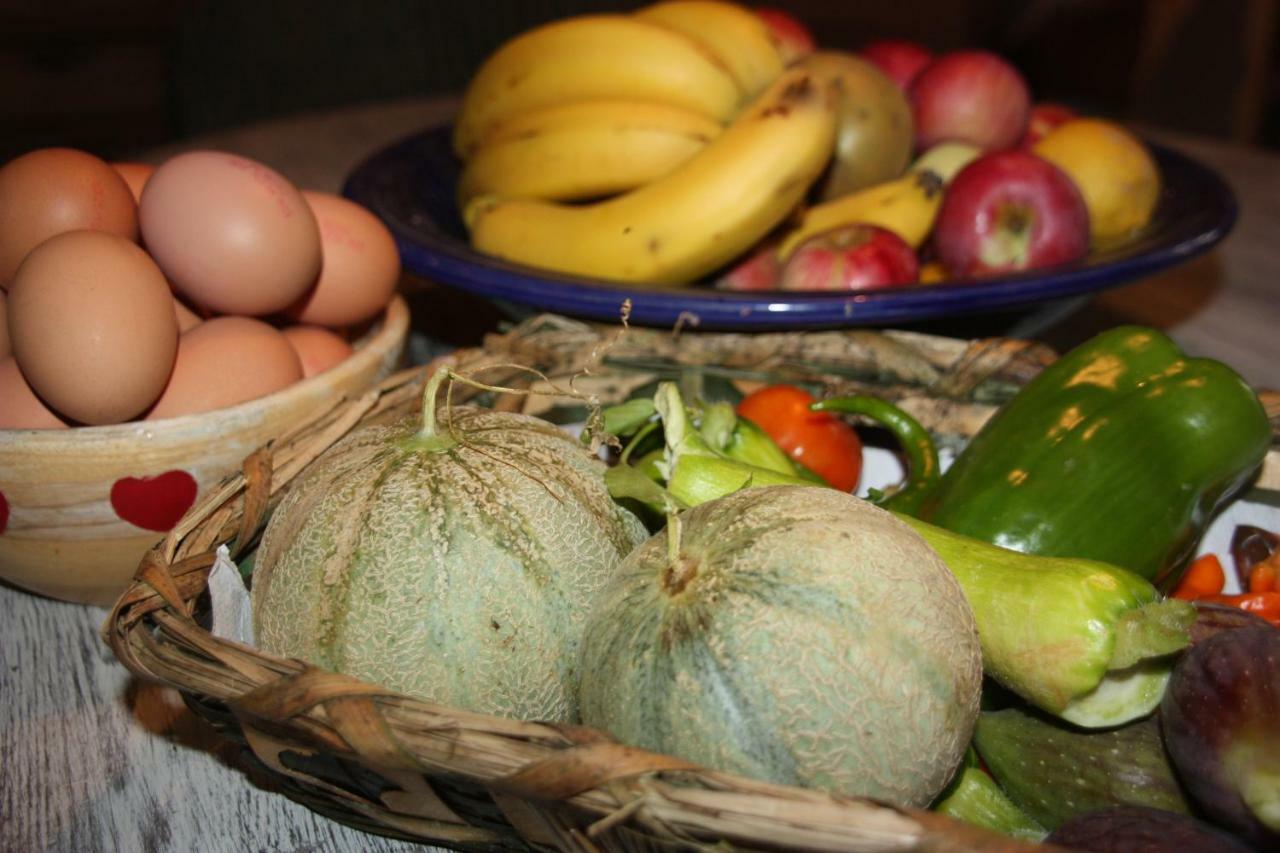 Le Peyrail Bed & Breakfast Les Leves-et-Thoumeyragues Bagian luar foto