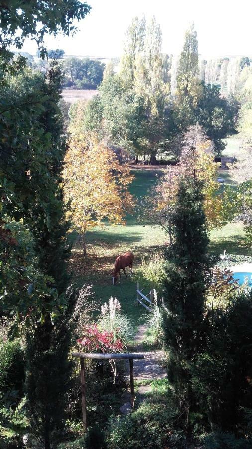 Le Peyrail Bed & Breakfast Les Leves-et-Thoumeyragues Bagian luar foto